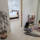 곽지머물다 이미지