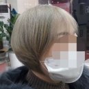 홍승아 헤어클럽 이미지