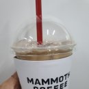 매머드익스프레스서강대 이미지