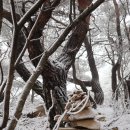 [경주] 마석산(磨石山·531ｍ) 산행후기(1)--- 2024년 2월 6일(화) 이미지