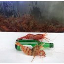 동해 싱싱수산 이미지