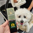 가양쿨펫동물병원 이미지