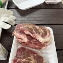 바다풍경펜션 | [일상_머뭄] 태안 바다풍경펜션