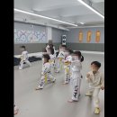 (주)아이엘티 | 유치원 체력·예절 한 번에, 연지 새동유치원 태권도로 시작한 유아태권도 이야기