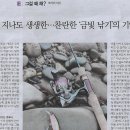 낚시나라 이미지