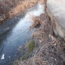 봉다리농장 이미지