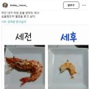 감전 태권도 | #47