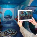 AR트릭아이전 이미지