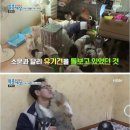 엔젤모텔 이미지