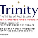 서초동1623-1 빌딩 이미지