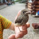 남매펜션 이미지