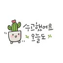 더치크리에이티브 이미지