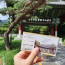 장성 백양사 근처 산채정식 오리백숙 맛집 찐추천 :: 동창식당