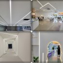 엠지에스 이미지