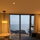 신라스테이플러스이호테우 | 신라스테이플러스이호테우] 제주도 오션뷰 호텔 추천! 신라스테이 이호테우 프리미어 디럭스 더블...