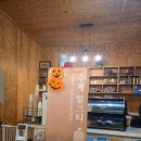 보람목장 | 김포 아이랑 목장체험 내돈내산 연보람목장