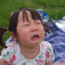 나의 첫 에세이 이미지