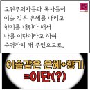 감람