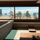 파라스테이 이미지