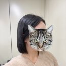 스마일헤어 이미지