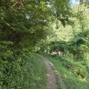 왕피천 은어길 이미지