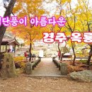 애기야 이미지