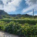 양지바른농장 이미지