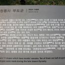 청룡사 부도군 이미지