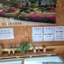 신용한우영농조합법인 | 오늘의 냠냠 : [홍천한우수라영농조합법인]