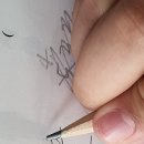 마음의 소리를 찾아서 이미지