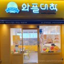 와플대학대전 이미지