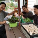 혜림농장 이미지