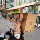 파파스약국 이미지