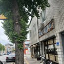 천안 성환역 근처 분좋카 강추 &#39;하레브라도&#39; 내돈내산