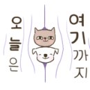 신디샵 이미지