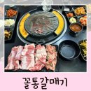 꼴통갈매기