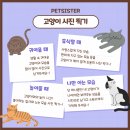 펫 친구 이미지