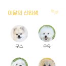 털로덮인친구들(동탄호수공원점) 이미지