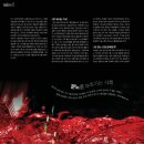 멀다컴퍼니 이미지