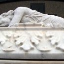 슈가(SUGAR) 이미지