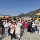 성남초등학교 옆 이미지