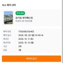 지연네민박 | 도브리프라하 / 도라지민박 / Sonnhof / 비엔나스위트...내돈내산 숙박후기 / 가성비 한인민박 / 예약팁