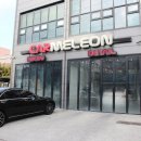 카멜레온 디테일 이미지