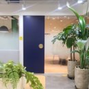 강남-217 이미지