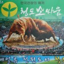 청도 이미지