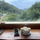 단지골 몽상가 이미지