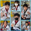 배곧 청록태권도장 이미지