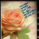 중리동사무소 이미지