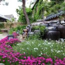 전주한옥마을 사드락 한 바퀴 여행길 이미지