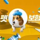 (주)유인케어 이미지